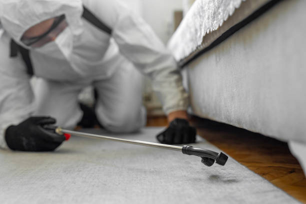 Professional Termite Control technician working in Carlton County County, MN
